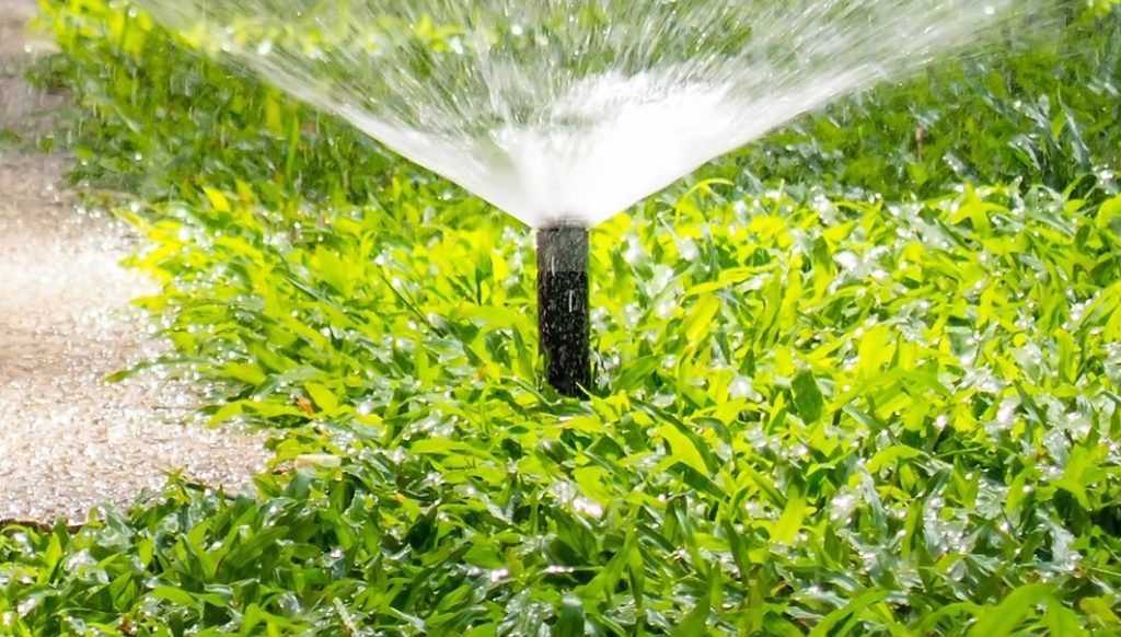 Services Evergreen Sprinkler Repair San Antonio