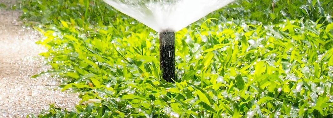 Sprinklers watering lawn